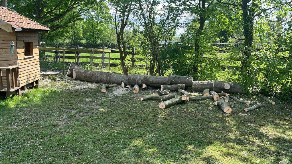 Élagage et abattage d’arbres à Certines